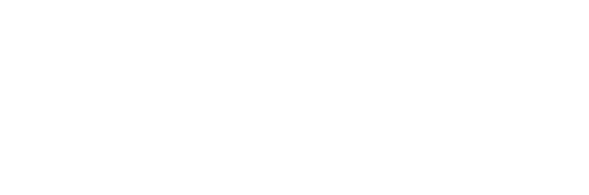Rock Springs Capital