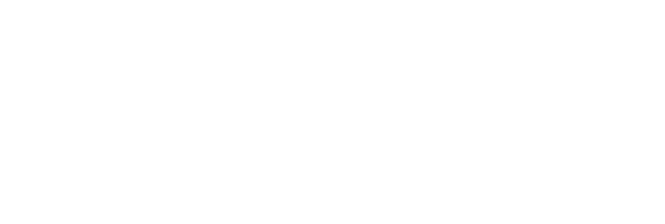 Rock Springs Capital